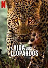 A Vida dos Leopardos